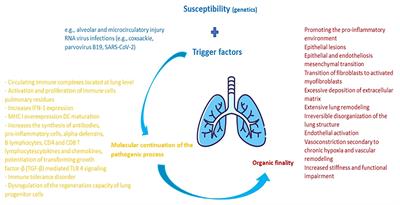 Undercover lung damage in pediatrics - a hot spot in morbidity caused by collagenoses